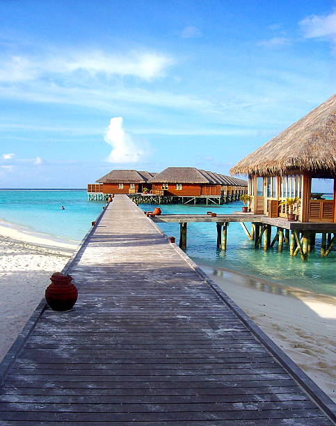 빌자 돌제 in 몰디브에서의 - hut maldives beach hut jetty 뉴스 사진 이미지