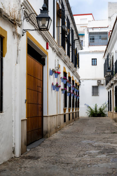 istock Charming Alley in Cordoba, Spain 1806635779