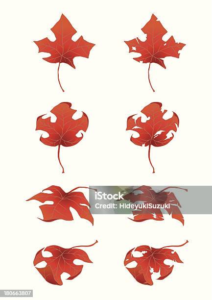 Coloredleavesmaple Stock Illustration - Download Image Now - Autumn, Autumn Leaf Color, Cartoon