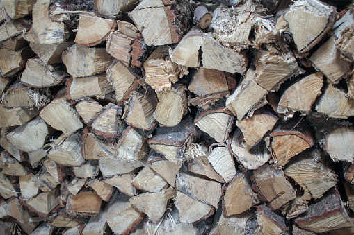 piled wood for a hard winter in temperature and in economy