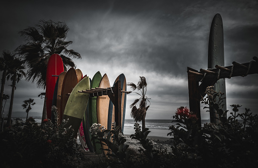 Surfboards on display at dusk