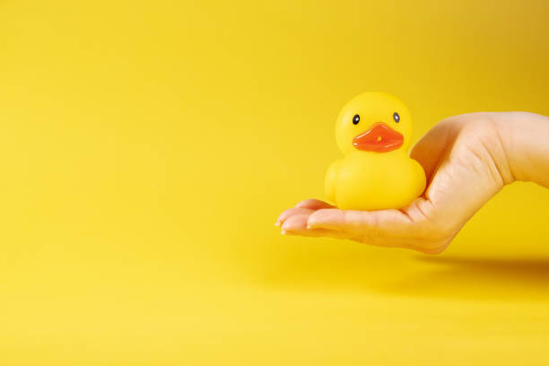 istock rubber duck in hand on yellow background, baby's bath accessory, creative playtime, yellow ducky 1806750869