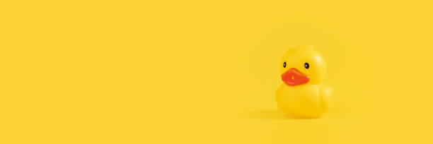 istock Rubber duck, yellow bath toy, creative bath decor, cute duckling,banner 1806750872