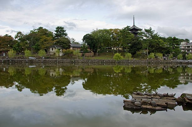 istock Lake and pagoda in Nara 180675588