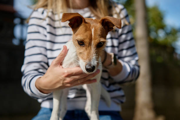 istock Woman and dog spending time together 1806814939