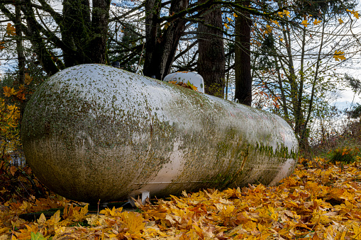 A low angle image of a large cylindrical propane tank covered in brightly colored autumn leaves.