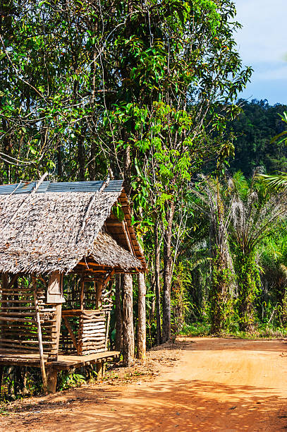 istock hut on a road in the jungle 180683269
