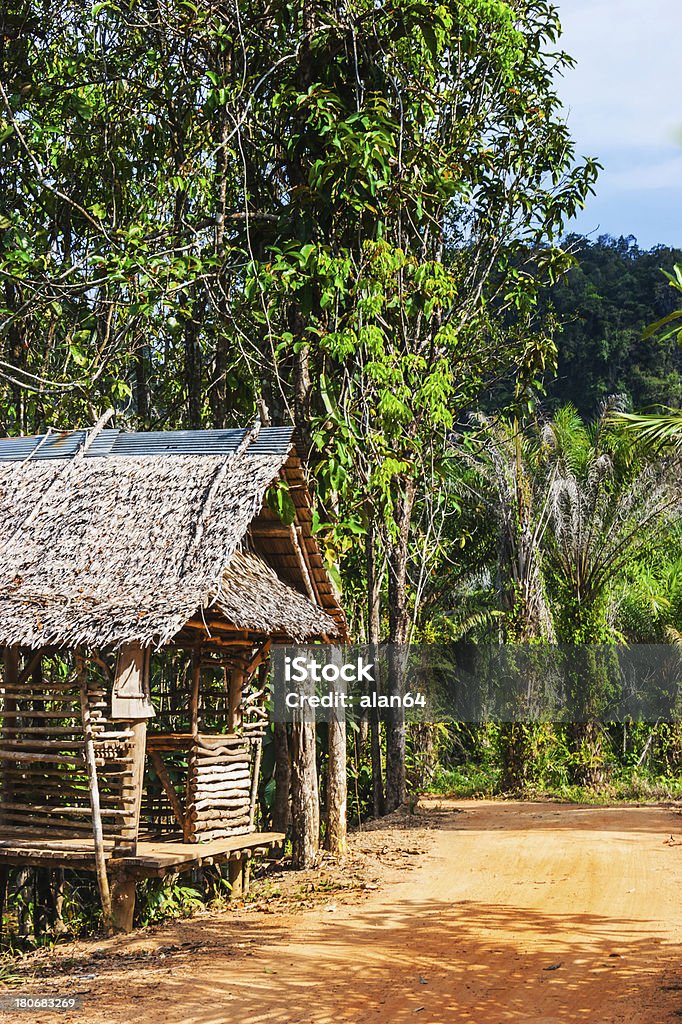 hut em uma estrada na selva - Foto de stock de Pequeno royalty-free