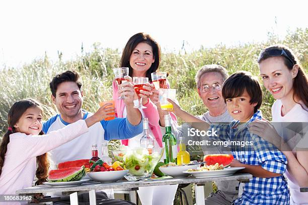 Multi Generation Family Having Outdoor Barbeque Stock Photo - Download Image Now - 20-29 Years, 30-39 Years, 50-59 Years