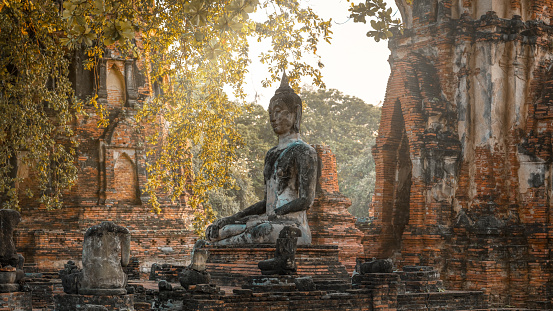 Statue of Buddha. Ayutthaya, Thailand.