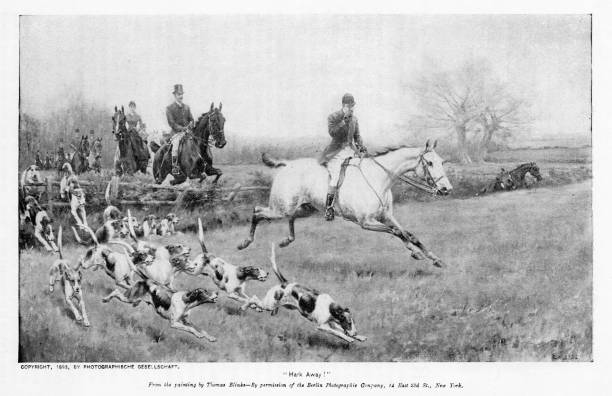 130+ Fox Hunting Painting Stock Photos, Pictures & Royalty-Free