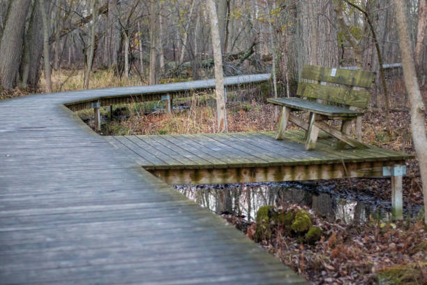 istock Wooden path in the forest 1806868434