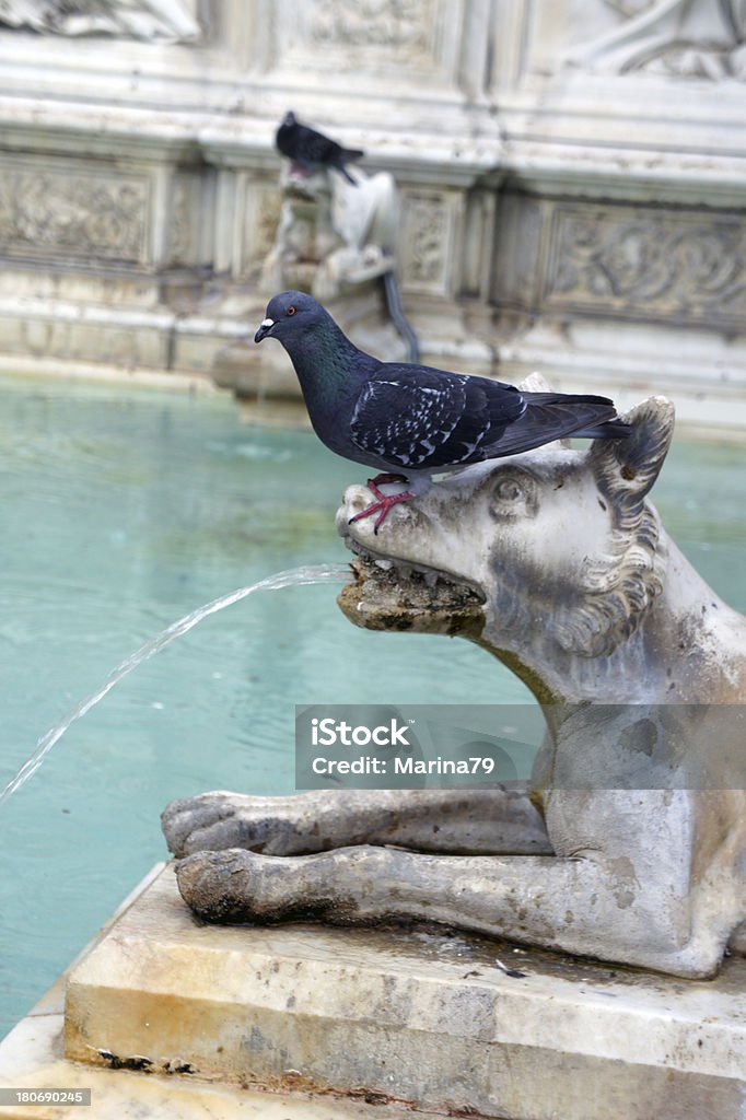 Brunnen auf der Piazza del Campo in Siena, Italien, Toskana - Lizenzfrei Architektur Stock-Foto