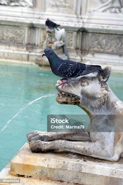 Brunnen Auf Der Piazza Del Campo In Siena Italien Toskana Stockfoto und mehr Bilder von Architektur