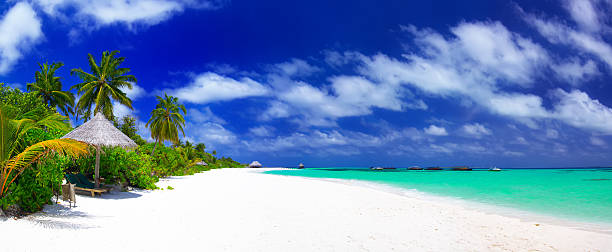 istock Panorama of beautiful beach on Maldives 180693096