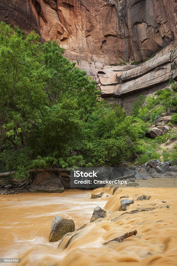 Zion rivière - Photo de Arbre libre de droits