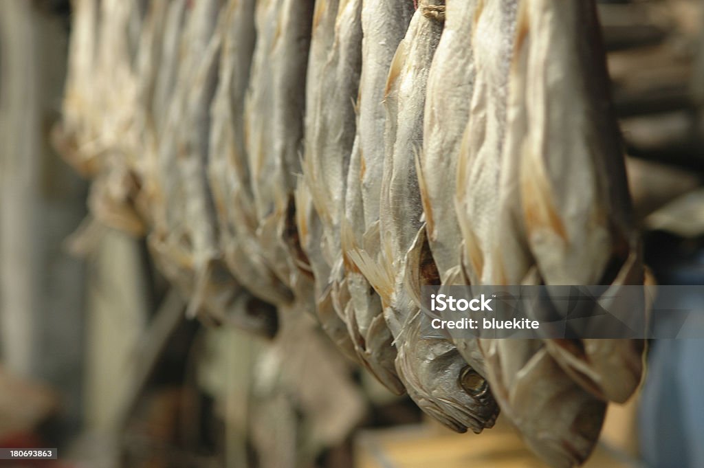Peixes salgados - Foto de stock de Aldeia royalty-free