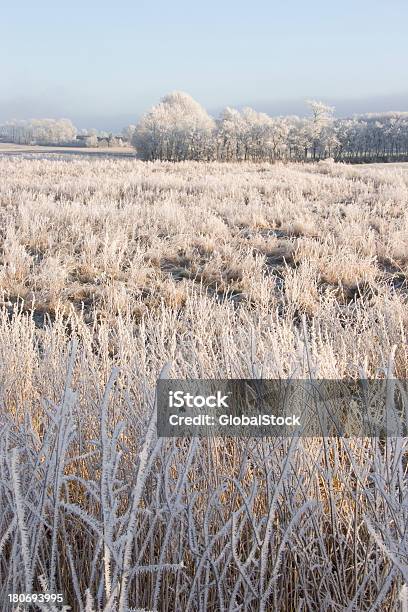 Mattina Invernale - Fotografie stock e altre immagini di Acqua - Acqua, Albero, Ambientazione tranquilla