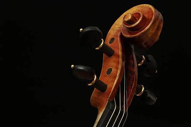 Photo of Violin Scroll