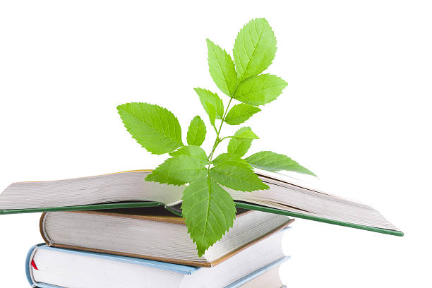istock Plant of Knowledge isolated on White background 180694917