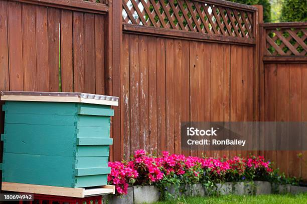 Suburban Backyard Beekeeping Stock Photo - Download Image Now - Beehive, Color Image, Day