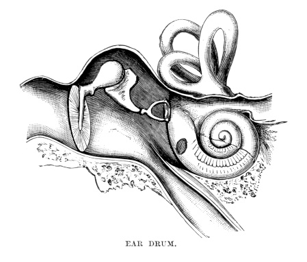 Vintage engraving of the ear drum