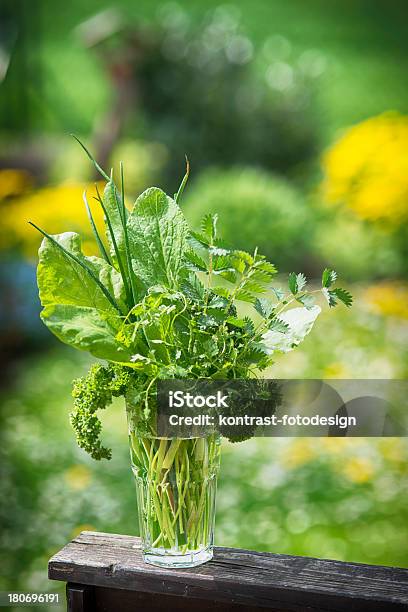 Ingredients For The Frankfurter Gruene Sosse Frankfurt Stock Photo - Download Image Now