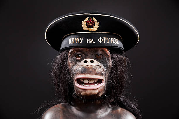 Chimpanzee with Costume Military Hat