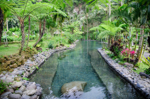 Garden Detail in  Jungle Resort