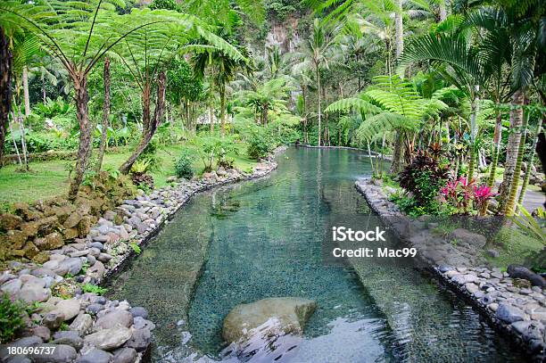 Garden Detail In Jungle Resort Stock Photo - Download Image Now - Bali, Flower, Rainforest