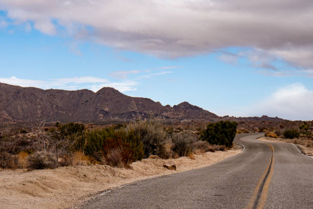 istock A street view through Joshua Tree National Park 1806972143