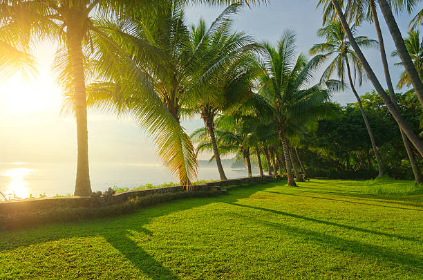 istock tropical coast in North Bali at sunrise 180697300