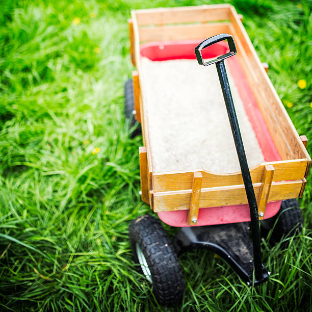 istock Childrens Wagon on Green Grass 180697506