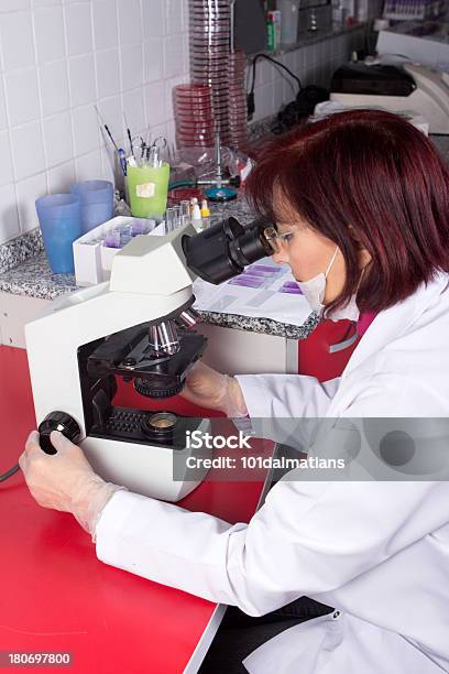 Scienziato Guarda Nel Microscopio - Fotografie stock e altre immagini di Adulto - Adulto, Analizzare, Attrezzatura per la ricerca