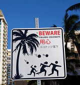 kokosnuss-warnschild-in-honolulu.jpg?b=1