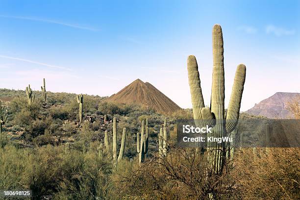 Paisagem Do Deserto - Fotografias de stock e mais imagens de Ao Ar Livre - Ao Ar Livre, Arbusto, Arizona