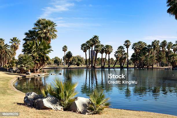 公共の公園アリゾナ州フェニックス - アリゾナ州のストックフォトや画像を多数ご用意 - アリゾナ州, アリゾナ州 フェニックス, ナツメヤシ属