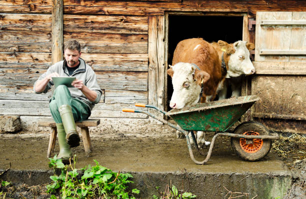 swiss agricultor moderno con tableta digital - cow swiss culture switzerland cattle fotografías e imágenes de stock