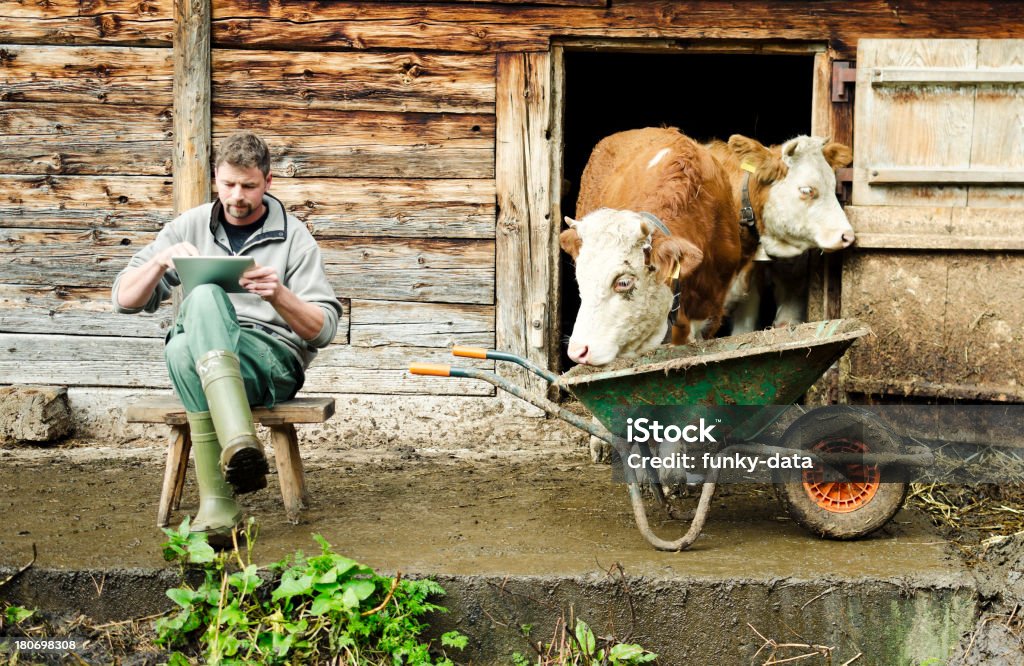 Moderno con Tavoletta digitale svizzero Agricoltore - Foto stock royalty-free di Vacca