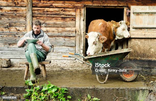Moderno Con Tavoletta Digitale Svizzero Agricoltore - Fotografie stock e altre immagini di Vacca