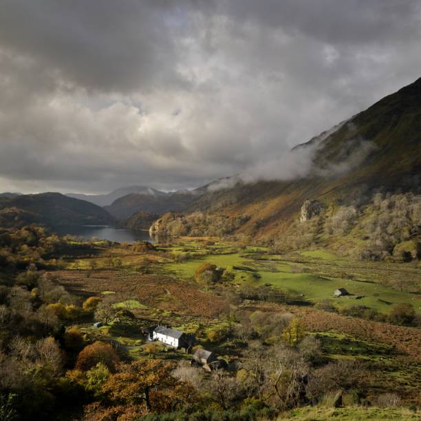 nant gwynant, snowdonia - nant gwynant imagens e fotografias de stock