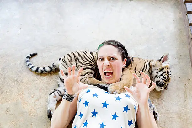 Photo of Petting a Baby Tiger