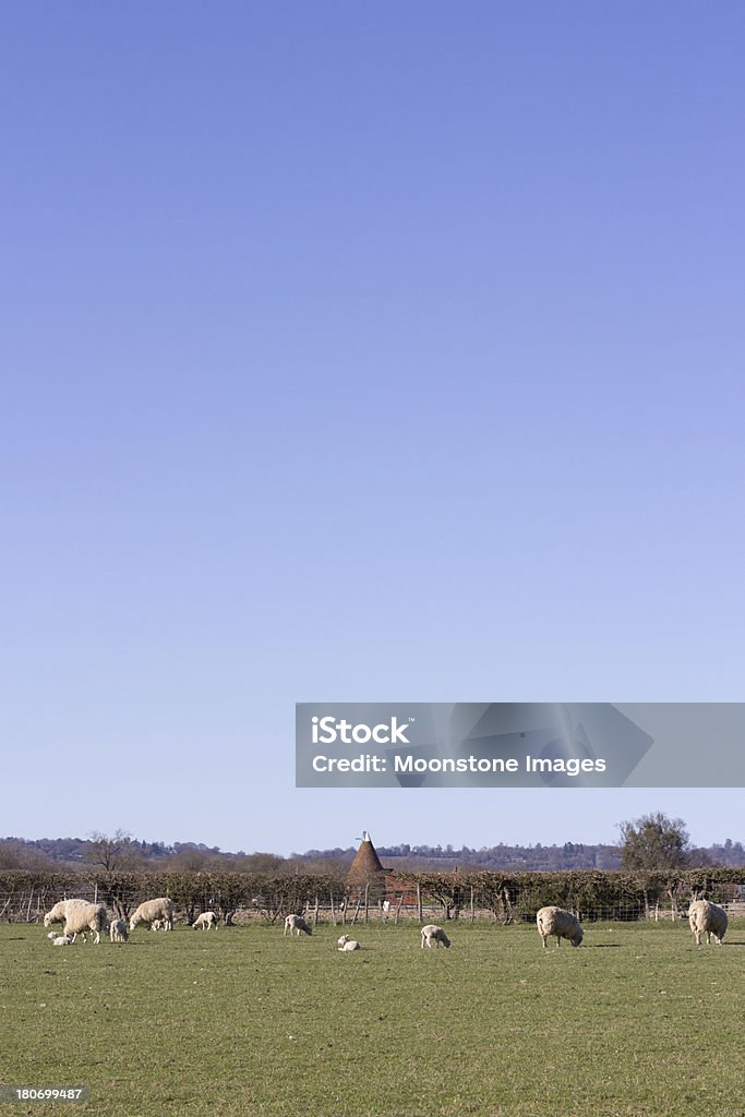 Chiddingstone de Kent, Inglaterra - Foto de stock de Agricultura libre de derechos