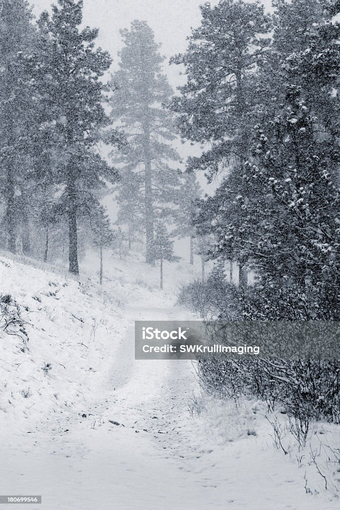 연두빛 인공눈 - 로열티 프리 겨울 스톡 사진