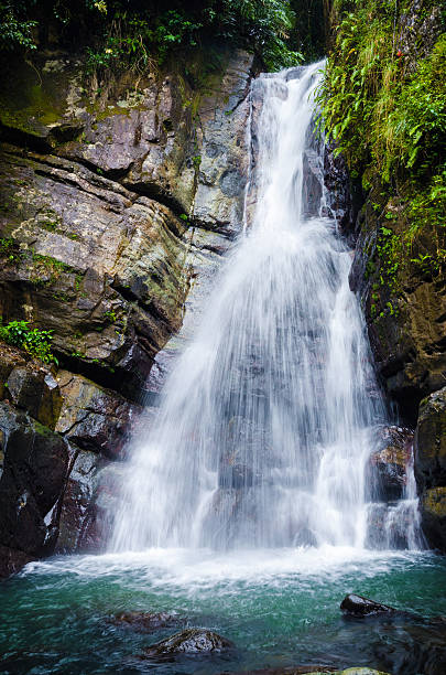 La Mina waterfall in El Yunque National Forest La Mina Falls at El Yunque National Forest in Puerto Rico.  el yunque rainforest stock pictures, royalty-free photos & images