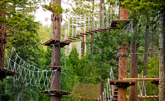 Treetop Obstacle Course Adventure Park