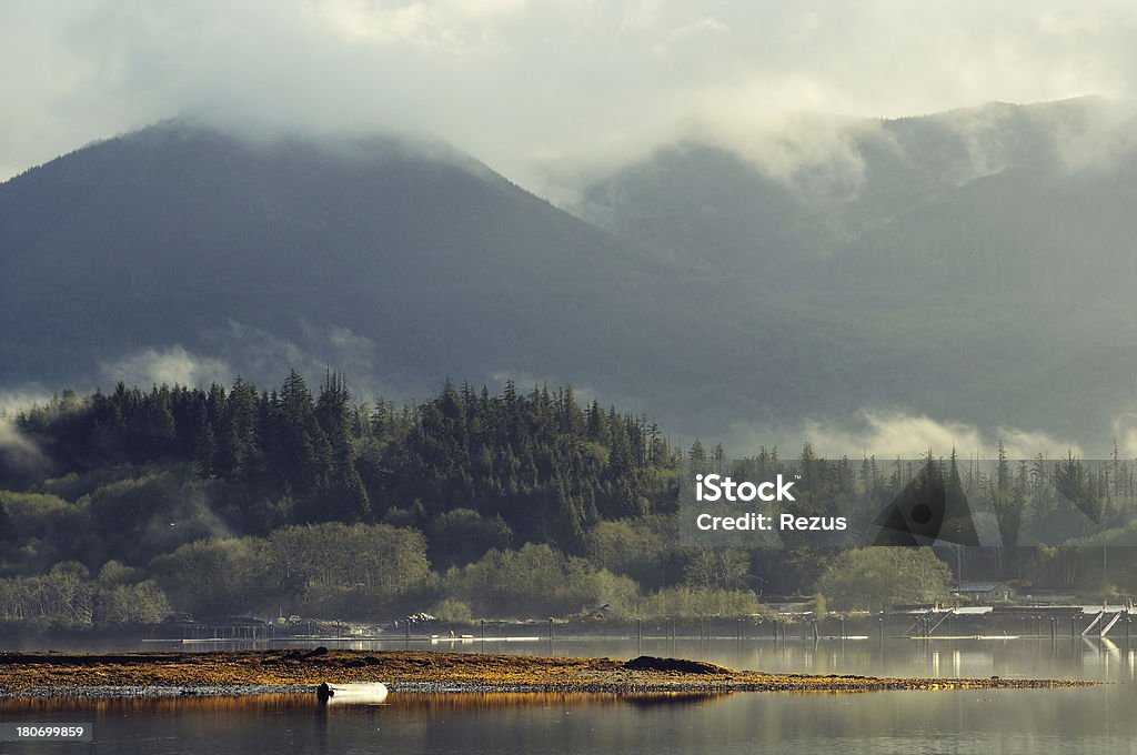 Mattina nebbioso paesaggio da Isola di Vancouver, Canada - Foto stock royalty-free di Ucluelet