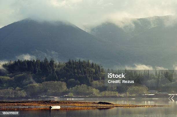 Mattina Nebbioso Paesaggio Da Isola Di Vancouver Canada - Fotografie stock e altre immagini di Ucluelet