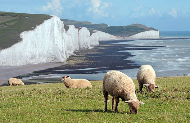 Green and Pleasant Land