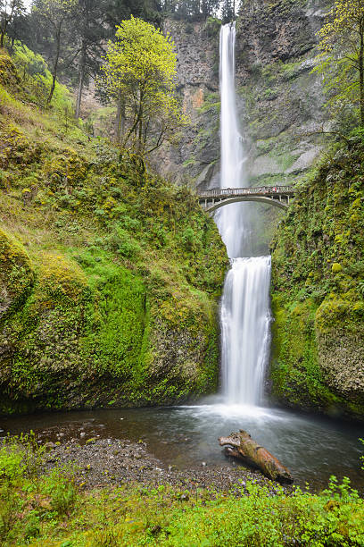 istock Multnomah Falls in Columbia River Gorge 180700250